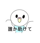 インコちゃんブルー（個別スタンプ：5）