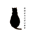 後ろ姿シンプル猫ちゃん（個別スタンプ：1）