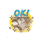アクションk-gigi3（個別スタンプ：1）