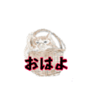 アクションk-gigi3（個別スタンプ：4）