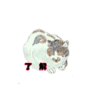 アクションk-gigi3（個別スタンプ：6）