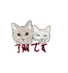アクションk-gigi3（個別スタンプ：11）
