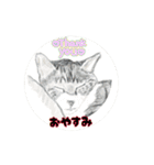 アクションk-gigi3（個別スタンプ：12）