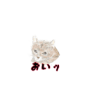 アクションk-gigi3（個別スタンプ：13）