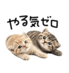 やる気ゼロ♡にゃんこ（個別スタンプ：1）