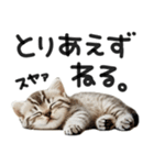 やる気ゼロ♡にゃんこ（個別スタンプ：4）