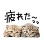 やる気ゼロ♡にゃんこ（個別スタンプ：7）