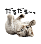 やる気ゼロ♡にゃんこ（個別スタンプ：18）