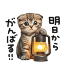 やる気ゼロ♡にゃんこ（個別スタンプ：20）