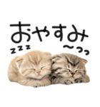 やる気ゼロ♡にゃんこ（個別スタンプ：25）