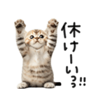 やる気ゼロ♡にゃんこ（個別スタンプ：28）