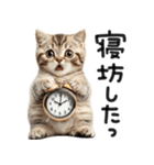 やる気ゼロ♡にゃんこ（個別スタンプ：29）