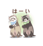 みんなのゆるっとフェレットスタンプ（個別スタンプ：9）