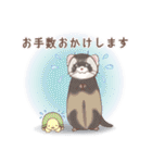 みんなのゆるっとフェレットスタンプ（個別スタンプ：25）