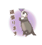 みんなのゆるっとフェレットスタンプ（個別スタンプ：26）