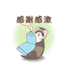 みんなのゆるっとフェレットスタンプ（個別スタンプ：40）