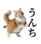 うんこ猫（個別スタンプ：1）