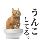 うんこ猫（個別スタンプ：3）