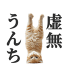 うんこ猫（個別スタンプ：4）