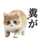 うんこ猫（個別スタンプ：15）