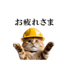 動く！リアル猫の現場仕事（個別スタンプ：1）