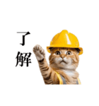 動く！リアル猫の現場仕事（個別スタンプ：5）