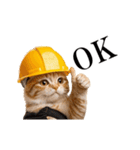 動く！リアル猫の現場仕事（個別スタンプ：6）