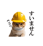 動く！リアル猫の現場仕事（個別スタンプ：11）