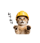 動く！リアル猫の現場仕事（個別スタンプ：15）
