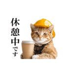 動く！リアル猫の現場仕事（個別スタンプ：18）