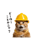動く！リアル猫の現場仕事（個別スタンプ：20）