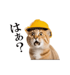 動く！リアル猫の現場仕事（個別スタンプ：21）