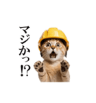 動く！リアル猫の現場仕事（個別スタンプ：22）
