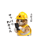 動く！リアル猫の現場仕事（個別スタンプ：23）