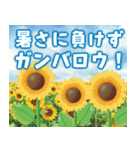 ひんやり涼感•夏の優しさスタンプ（個別スタンプ：13）