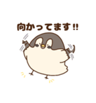 踊るすずめのすたんぷ（個別スタンプ：8）