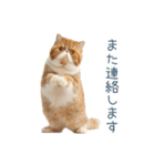 敬語のエキゾチックショートヘア（個別スタンプ：14）