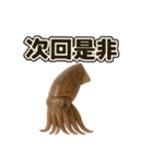 ららら イカ2（個別スタンプ：19）