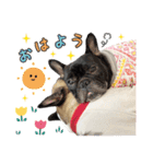 るなアニマルズ！（個別スタンプ：1）