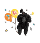 るなアニマルズ！（個別スタンプ：4）