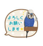 るなアニマルズ！（個別スタンプ：8）