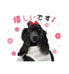 るなアニマルズ！（個別スタンプ：13）