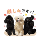 るなアニマルズ！（個別スタンプ：16）