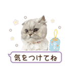 るなアニマルズ！（個別スタンプ：25）