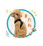 るなアニマルズ！（個別スタンプ：29）