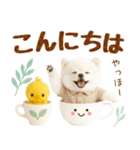 ラフな敬語の癒しポメラニアン（個別スタンプ：7）