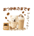 ラフな敬語の癒しポメラニアン（個別スタンプ：14）