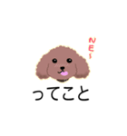 WAOの犬猫ファミリー二号室（個別スタンプ：4）