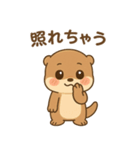 超かわいいカワウソスタンプ@日常会話（個別スタンプ：1）