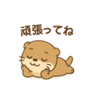 超かわいいカワウソスタンプ@日常会話（個別スタンプ：24）